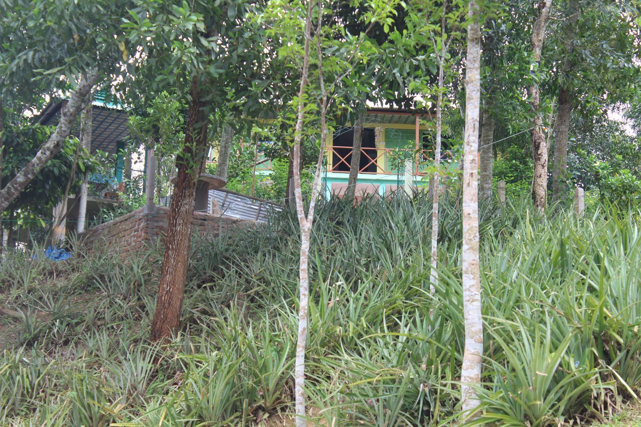 Green Palace Tea Resort سريمانغال المظهر الخارجي الصورة